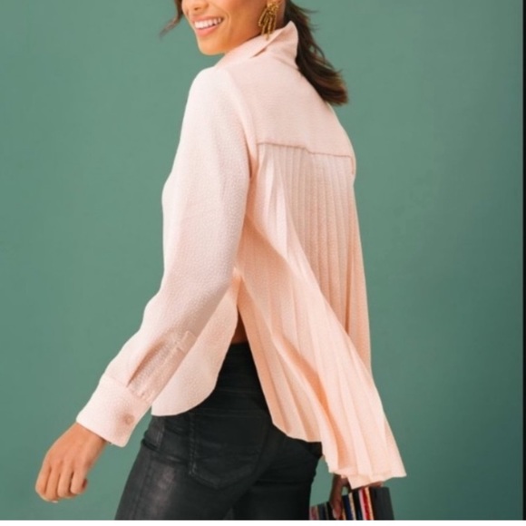 Tuckernuck Tops - Avon Lane Tuckernuck Crepe Pleated Blouse